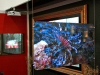 Professional PVC Projection Screen Film for Advertising