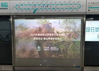 Front Projection Film S20
