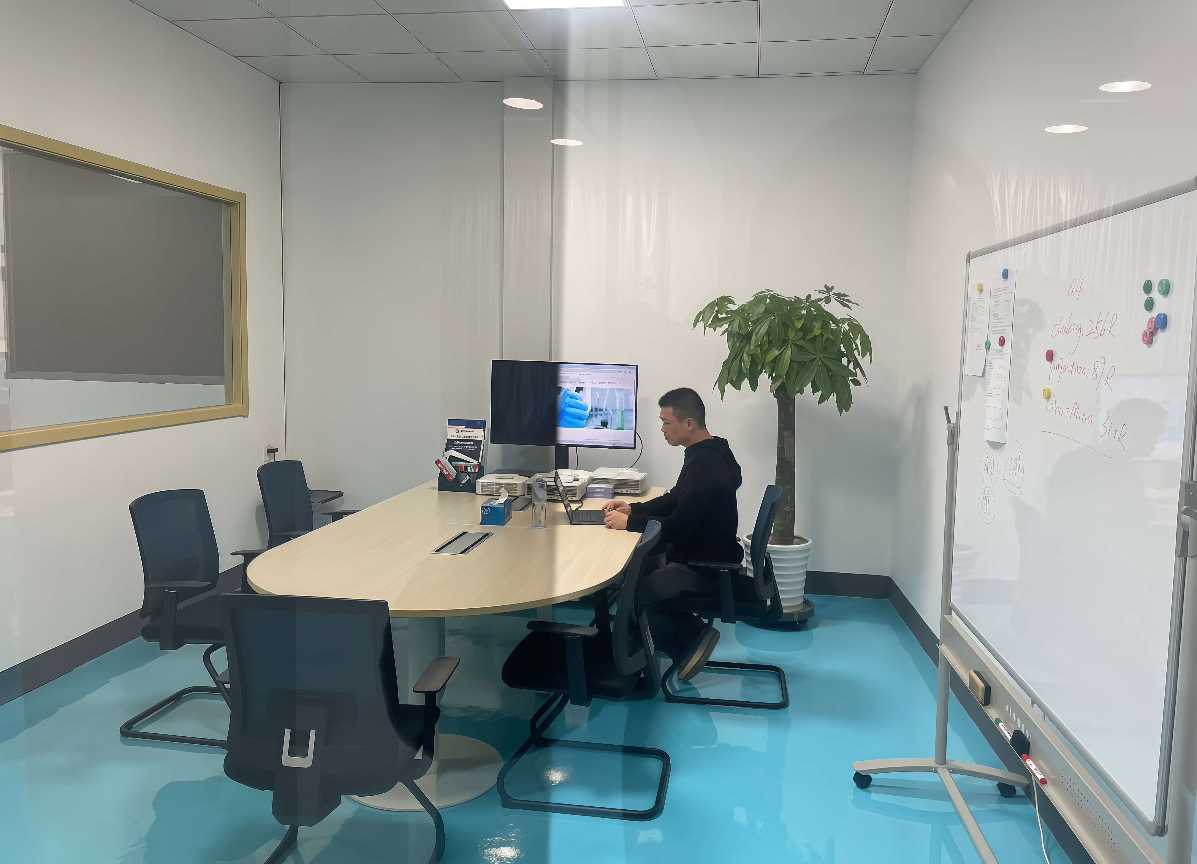 Polarizing Window Film